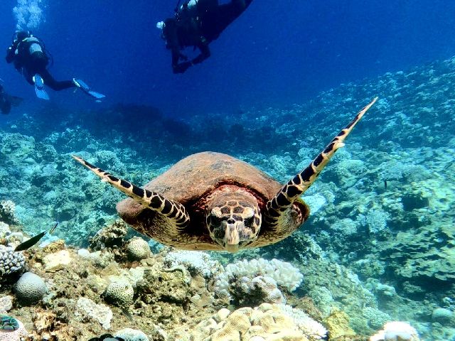 24/08/08　珍しく北海道に直撃！？　慶良間、チービシ