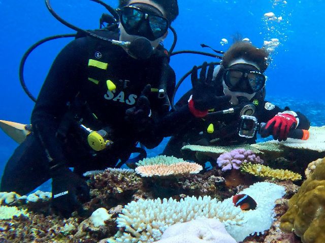 24/09/19　思いの外キレイでした！　沖縄本島