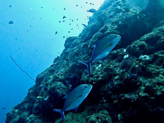 24/09/27　地形に小物　万座